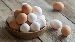 An alternative to eggs: a source of protein without the chicken and cholesterol.