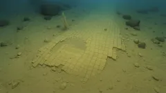 A "yellow brick road" has been discovered at the bottom of the Pacific Ocean. How can science explain it?