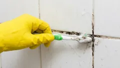 How to get rid of mold between bathroom tiles