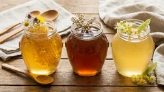 Which honey is the most beneficial: flower, buckwheat, or linden? The choice depends on your main problem.