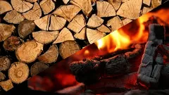 What wood has become the new fuel leader? Fireplace owners praise it for its low price.